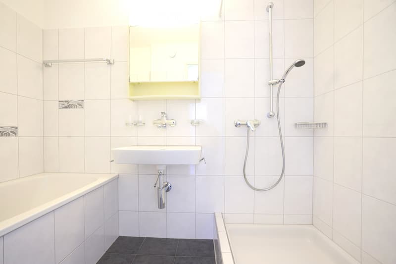 Appartement familial de 4,5 pièces lumineux dans un quartier calme (2)