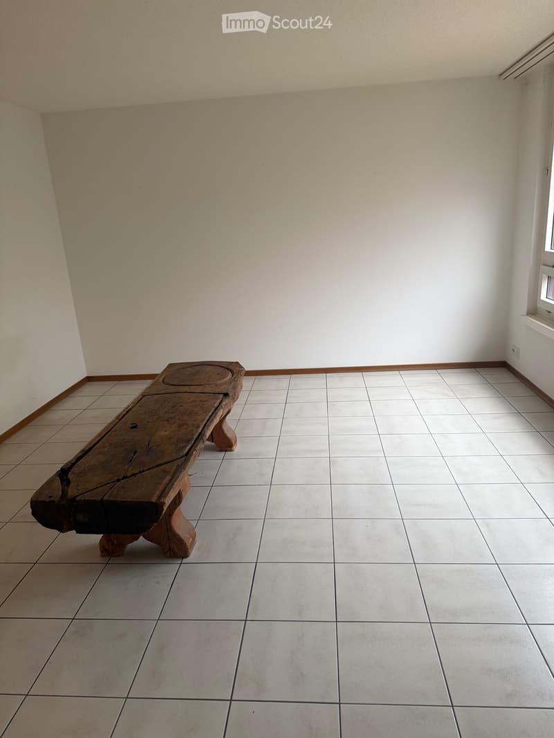 Helle 3-Zimmer Wohnung mit Sitzplatz, zentrale Lage (4)