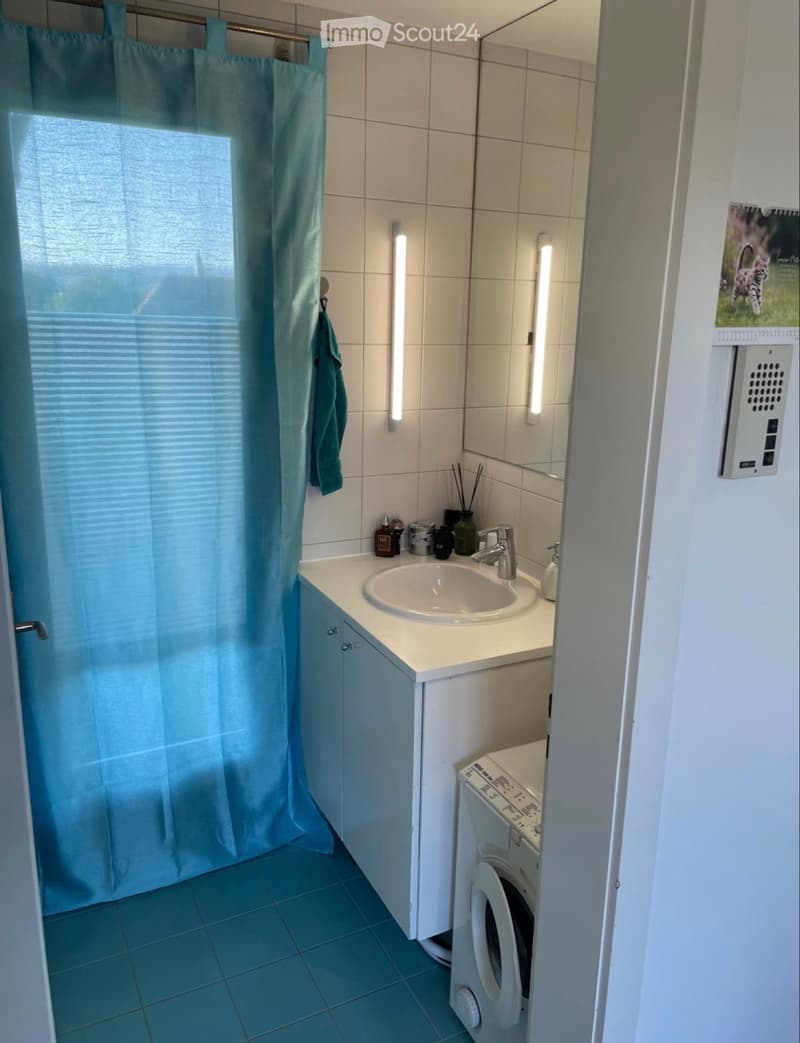 Schöne Terrassenwohnung in Murten zu vermieten! (4)