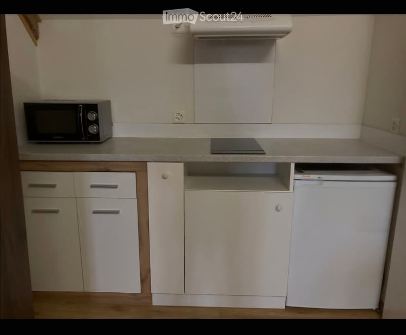 Studio meublé cherche sous-locataire (4)