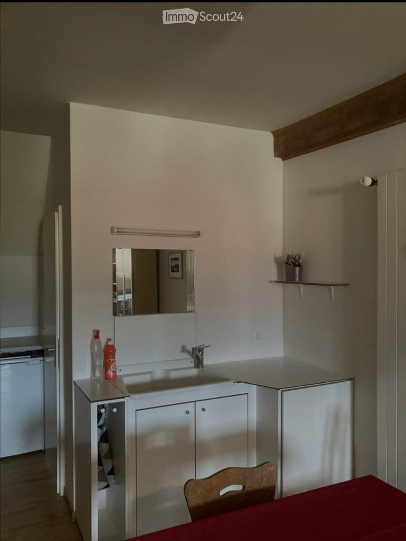 Studio meublé cherche sous-locataire (3)