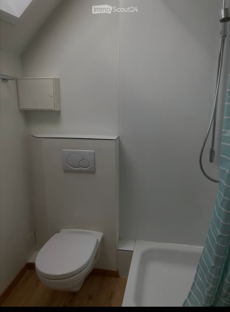 Studio meublé cherche sous-locataire (2)