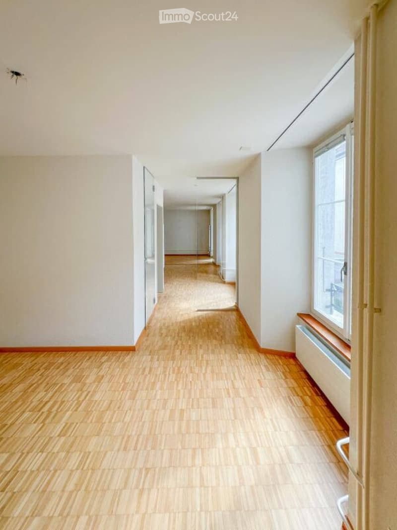 Charming 2.5-room apartment in Geneva (1)