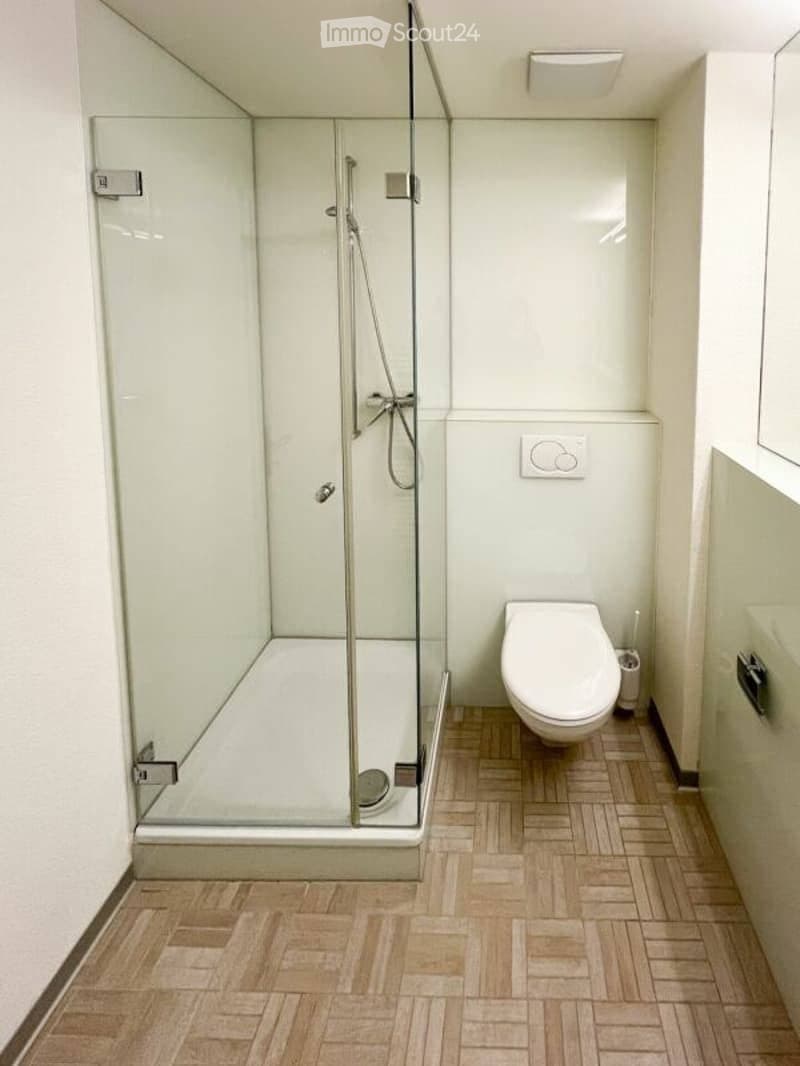 Charming 2.5-room apartment in Geneva (4)