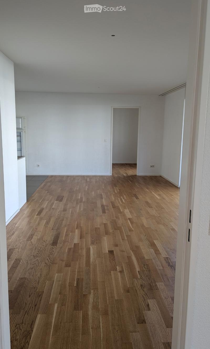 Schöne Wohnung in Kleinbasel (4)