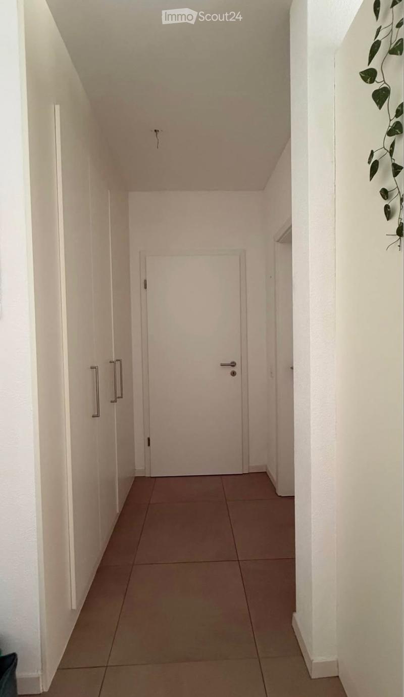 Bellinzona 2 locali (2)