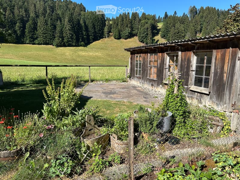 3 1/2 Zimmer Wohnung zu vermieten (5)