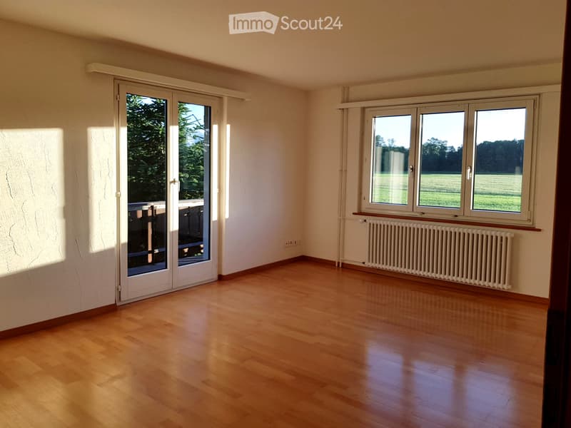Helle 4 ½ Zimmer Wohnung im Grünen (1)