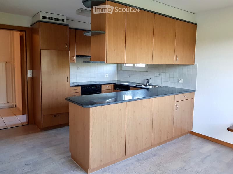 Helle 4 ½ Zimmer Wohnung im Grünen (3)