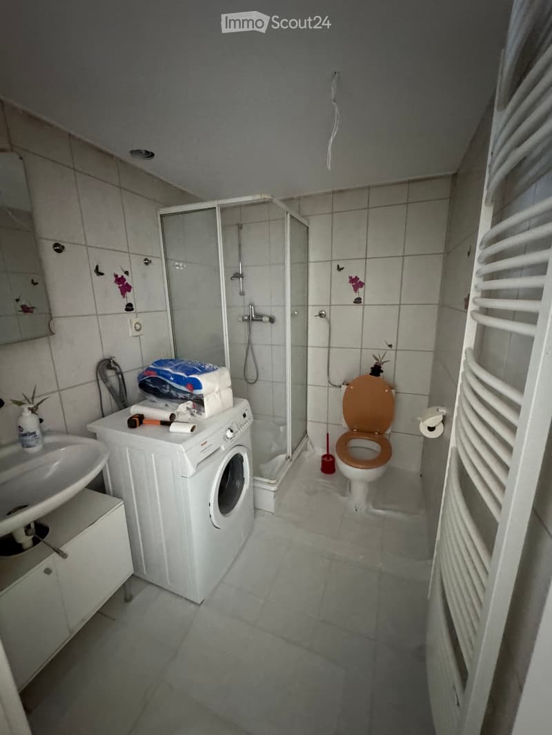 frisch renovierte Wohnung/ appartement fraîchement rénové (4)