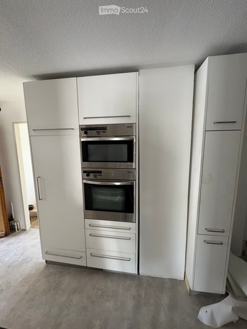 frisch renovierte Wohnung/ appartement fraîchement rénové (2)