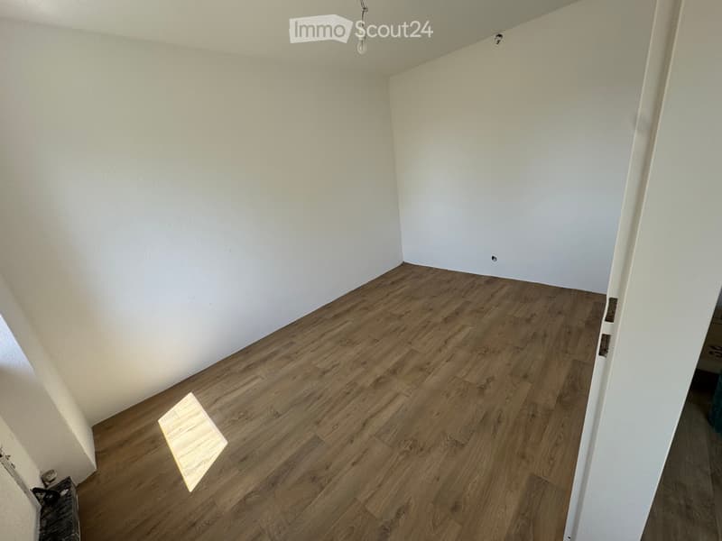 frisch renovierte Wohnung/ appartement fraîchement rénové (5)