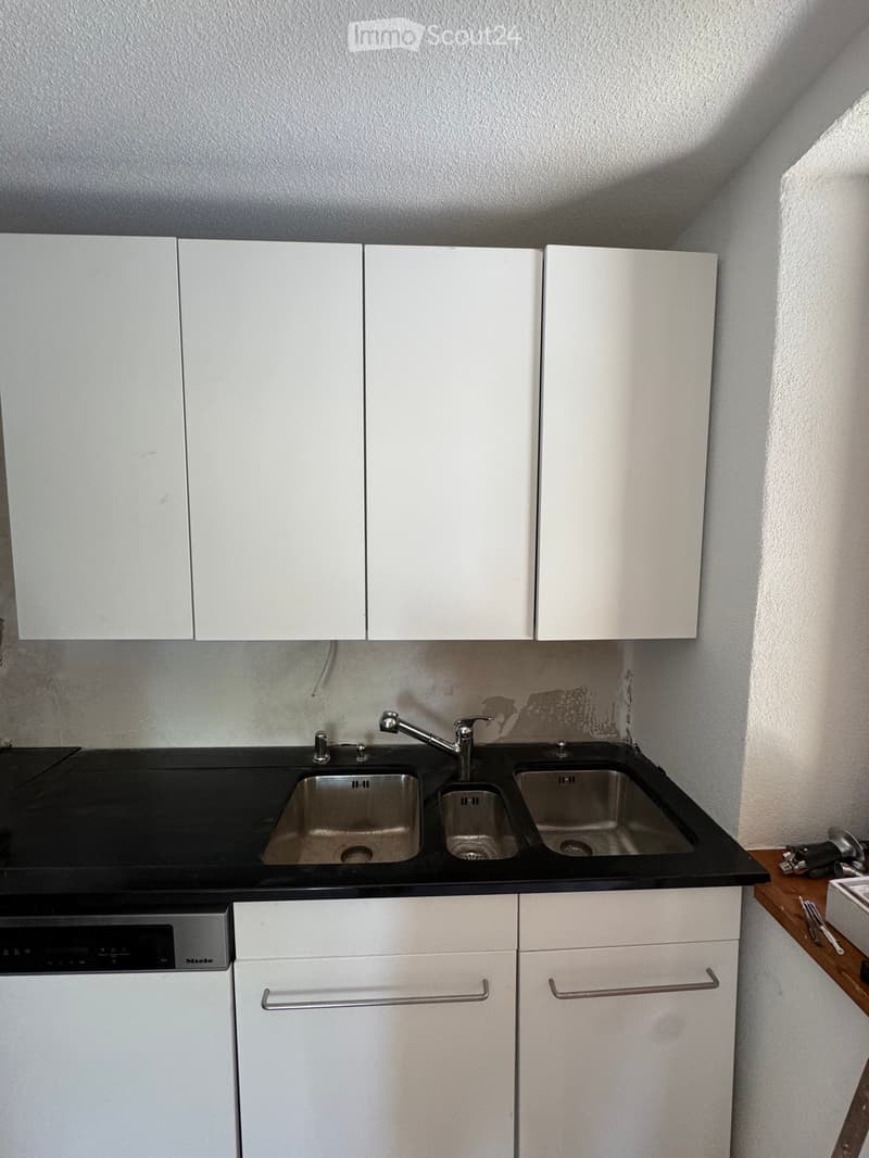 frisch renovierte Wohnung/ appartement fraîchement rénové (3)