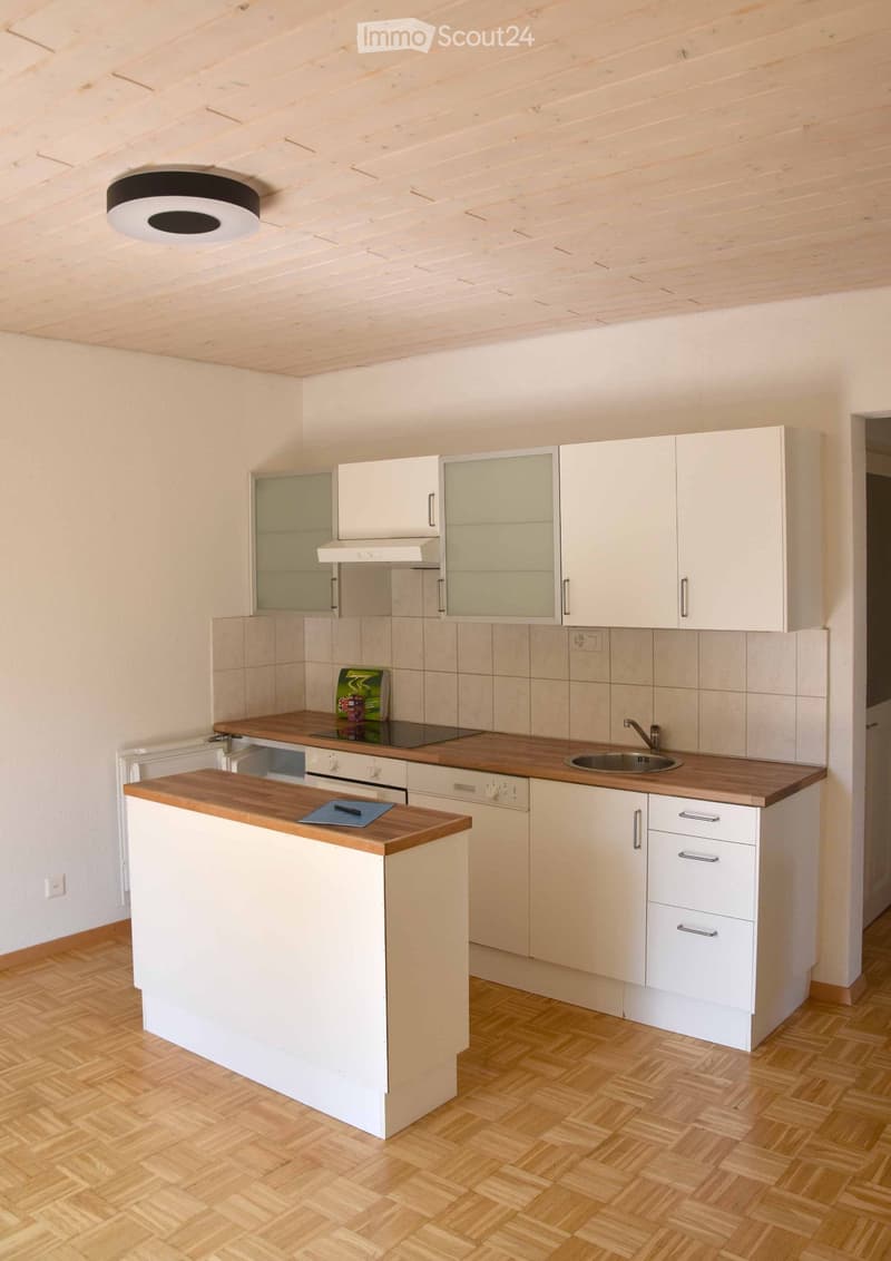 Appartamento di 3 camere a Eigerplatz (4)