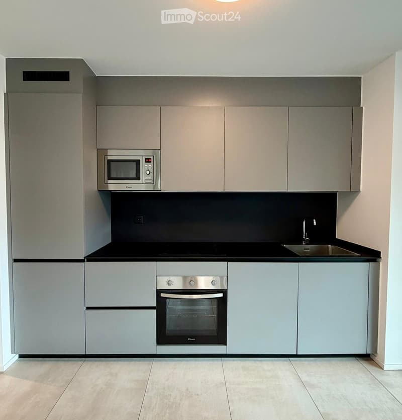 Appartamento 3 locali arredato con terrazzo - Lugano (2)