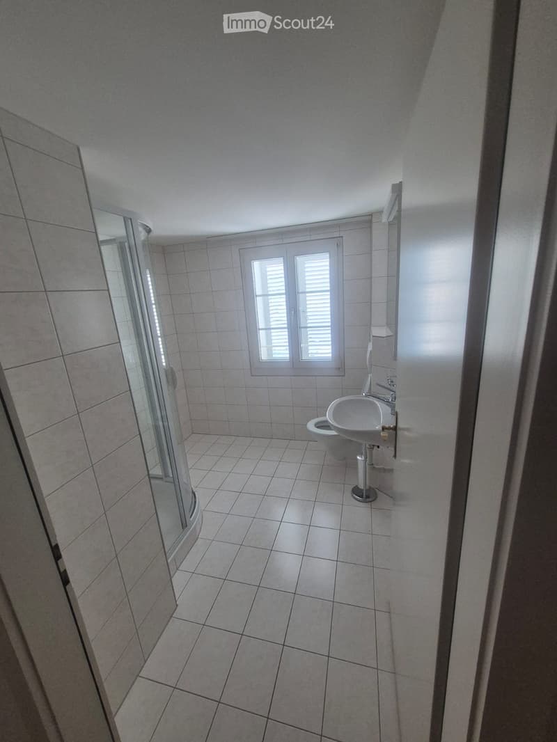 Locataire recherché appartement 4½ pièces avec jardin (5)