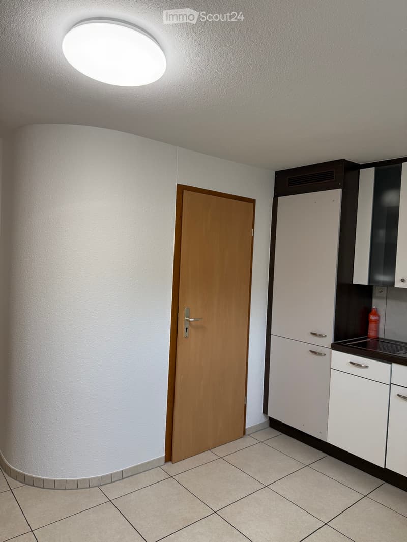 1.5-Room Basement Apartment in Lucerne (3)