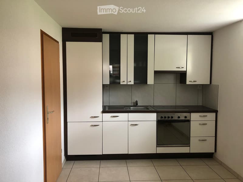 1.5-Room Basement Apartment in Lucerne (1)