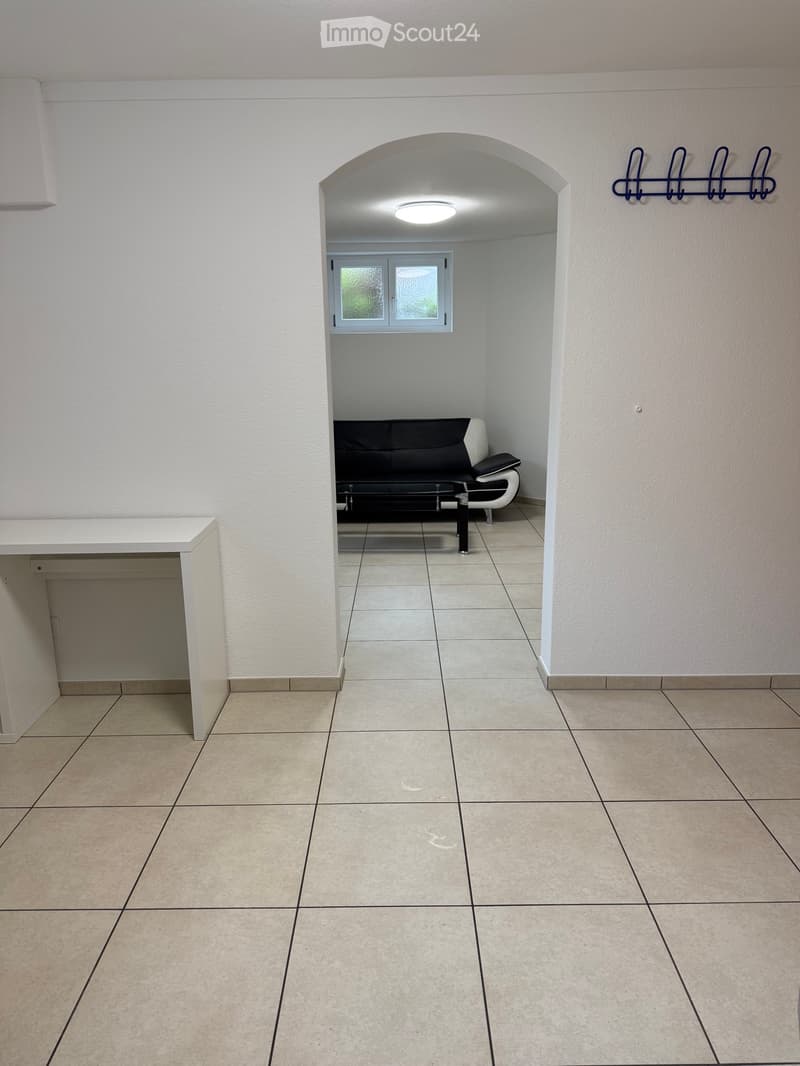 1.5-Room Basement Apartment in Lucerne (5)