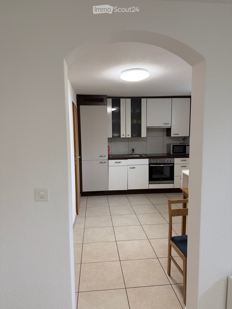 1.5-Room Basement Apartment in Lucerne (2)