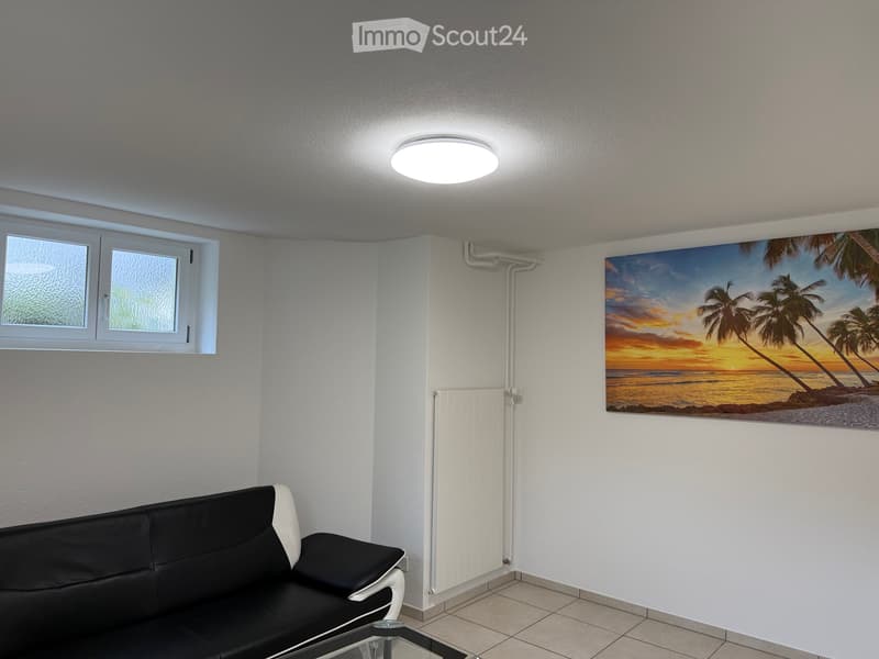 1.5-Room Basement Apartment in Lucerne (4)