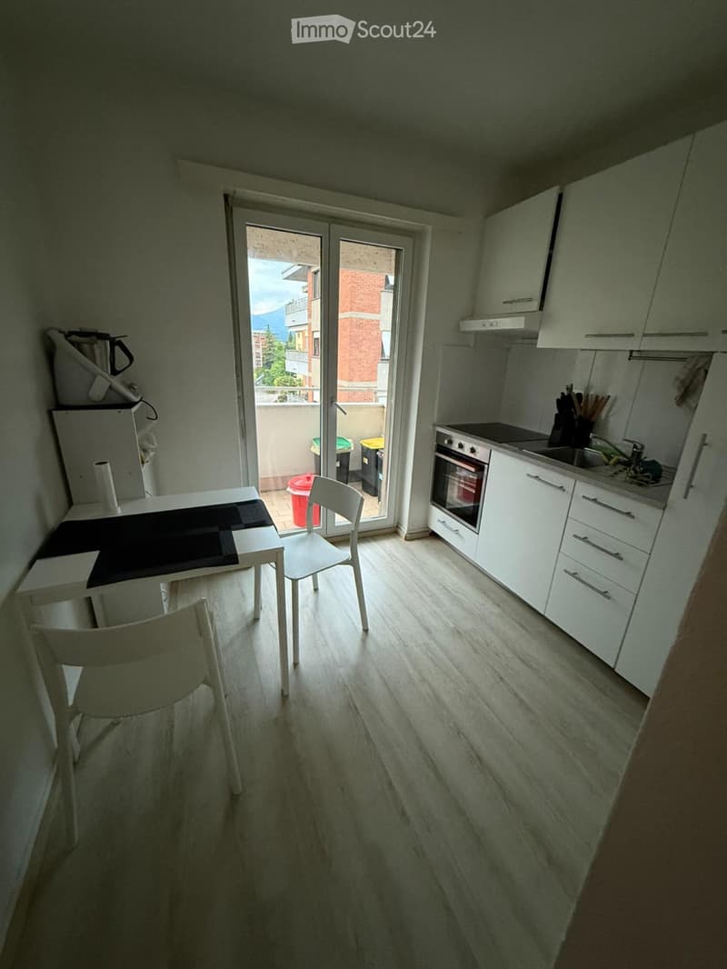 Appartamento 1,5 locali Agno (2)