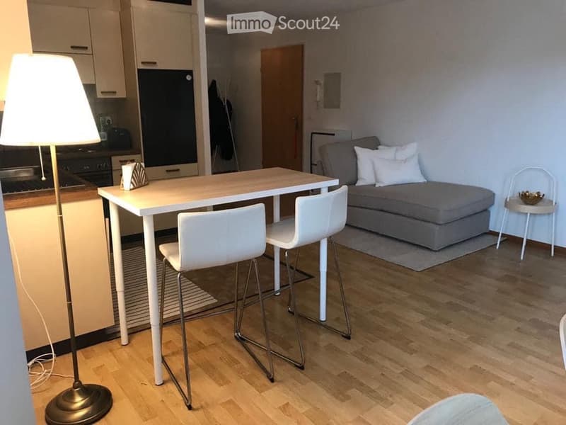Schöne 2,5-Zimmer-Wohnung zu vermieten (4)