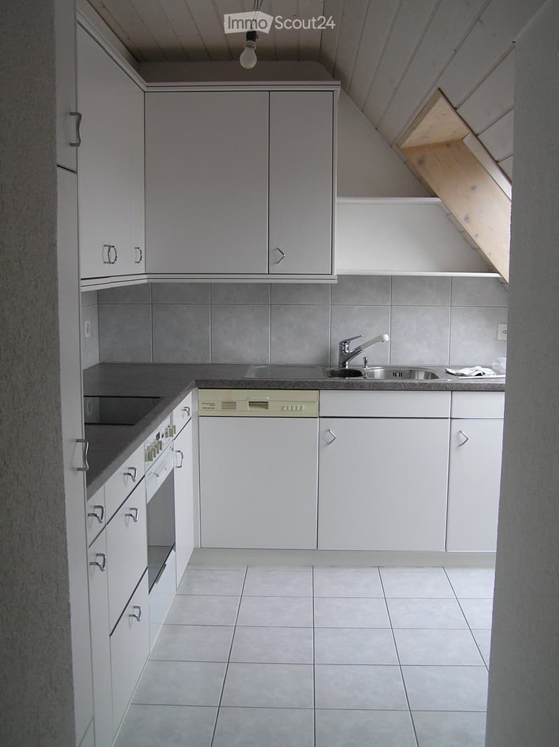 3-Zimmer Dachwohnung (2)