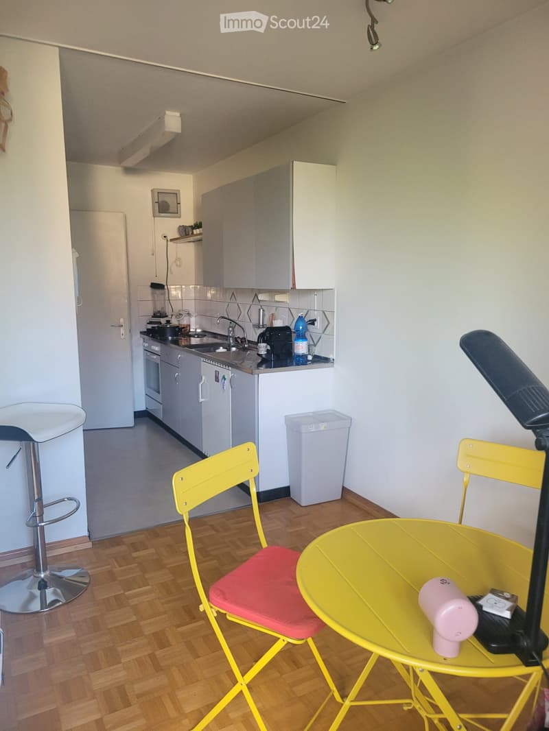 Sunny attic apartment with chimney in Mittelhäusern (1)