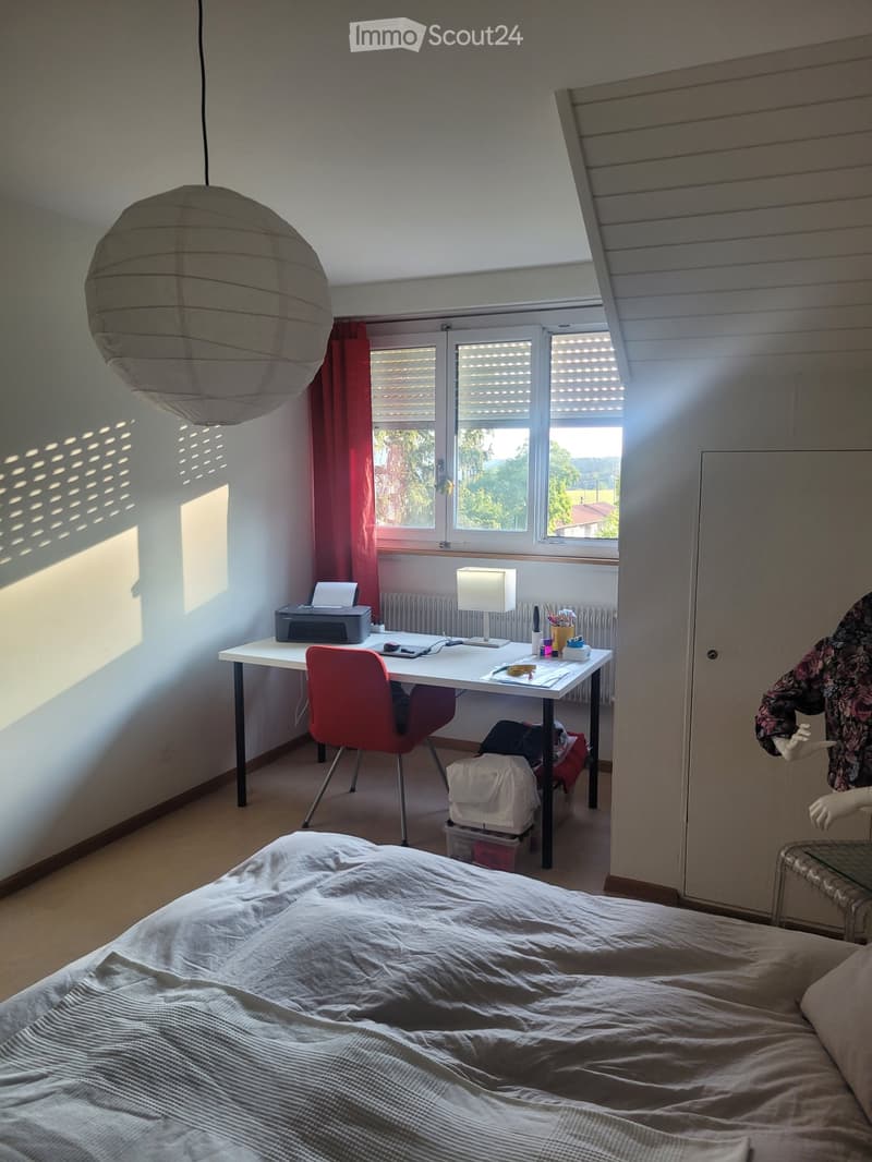 Sunny attic apartment with chimney in Mittelhäusern (3)