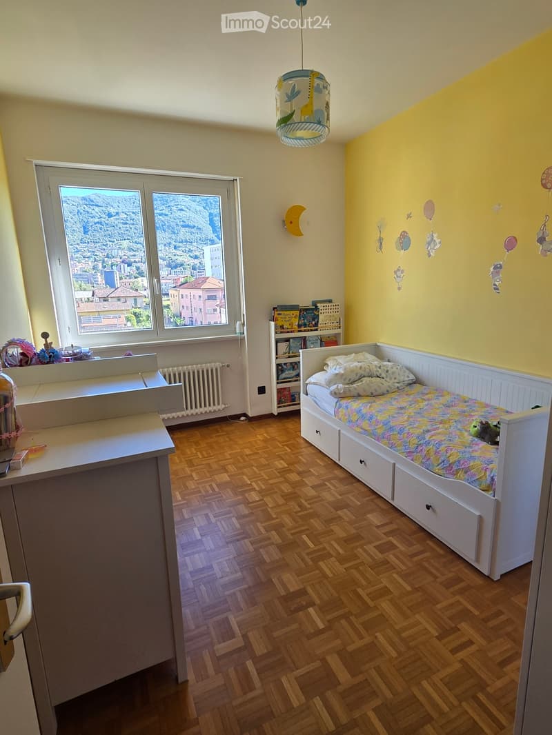 Cerco subentrante 4.5 chiasso (3)