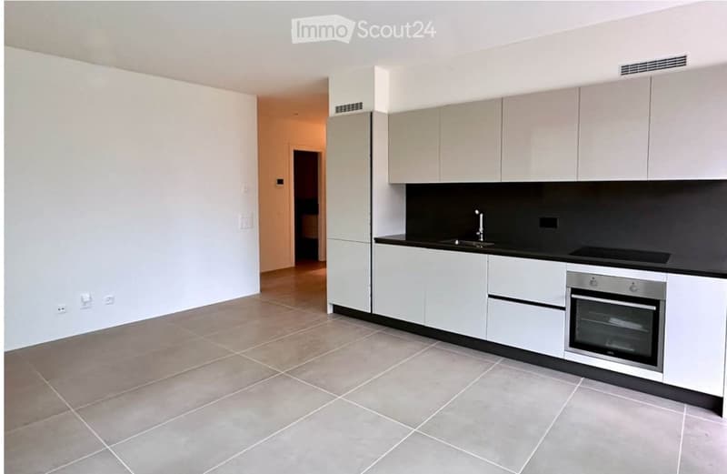 Moderno 2.5 con giardino privato, Viganello (2)