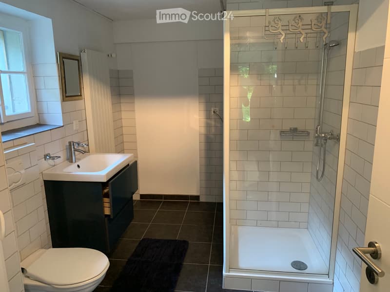 Stylish, cozy 2 room apartm. with patio, parking /1.10.26 (3)
