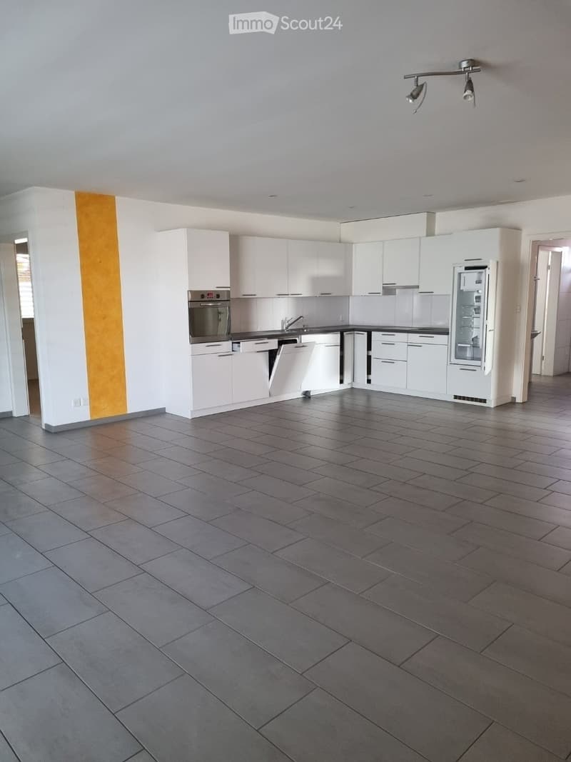 Large apartment with elevator and large balcony (3)