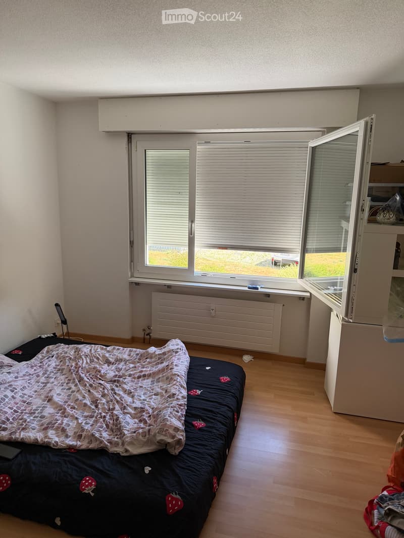 Suche Nachmiete per absofort (4)