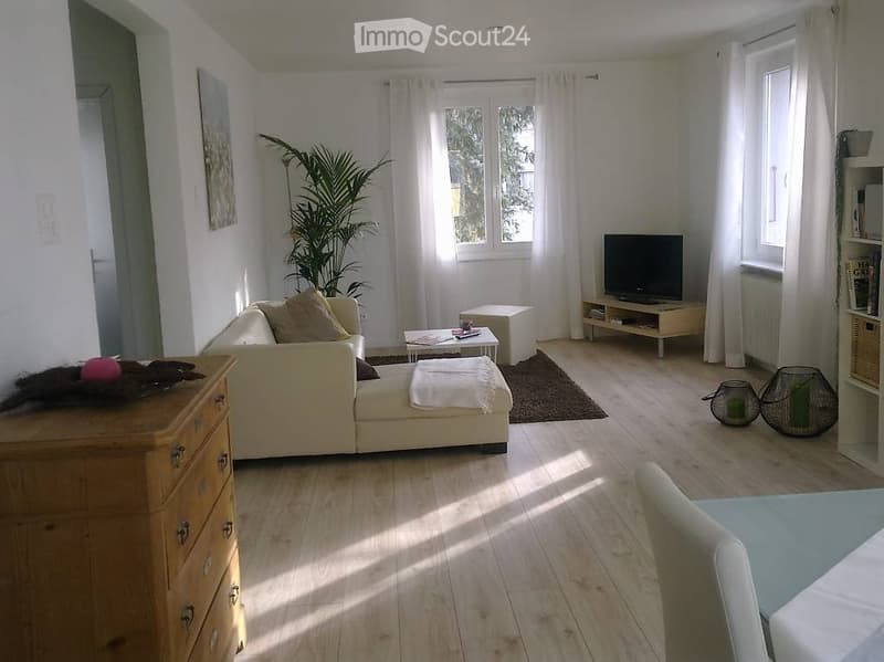 Grosszügige, helle 2.5 Zimmerwohnung mit grosser Terrasse (1)