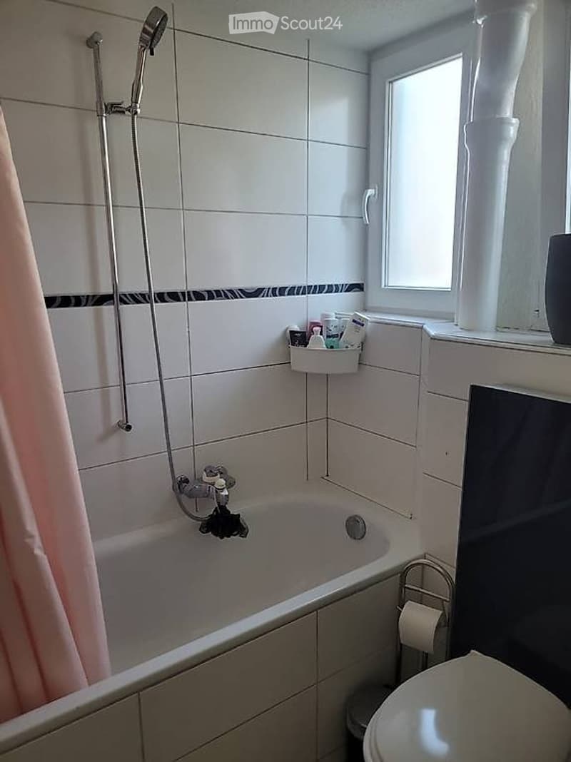 Grosszügige, helle 2.5 Zimmerwohnung mit grosser Terrasse (4)