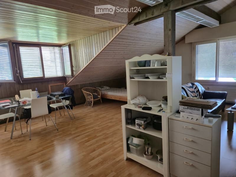 43 sqm large studio (1)