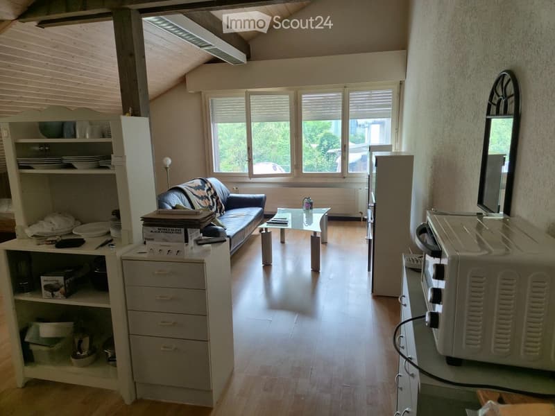 43 sqm large studio (2)