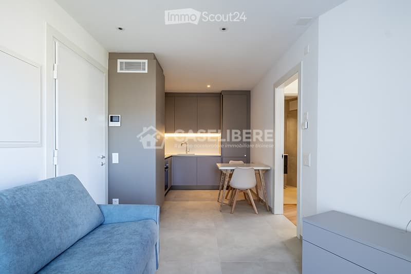 STUPENDO 2.5 LOCALI ARREDATO A MASSAGNO (1)