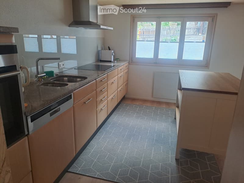 Frisch renovierte sonnige Wohnung mit Charme (4)