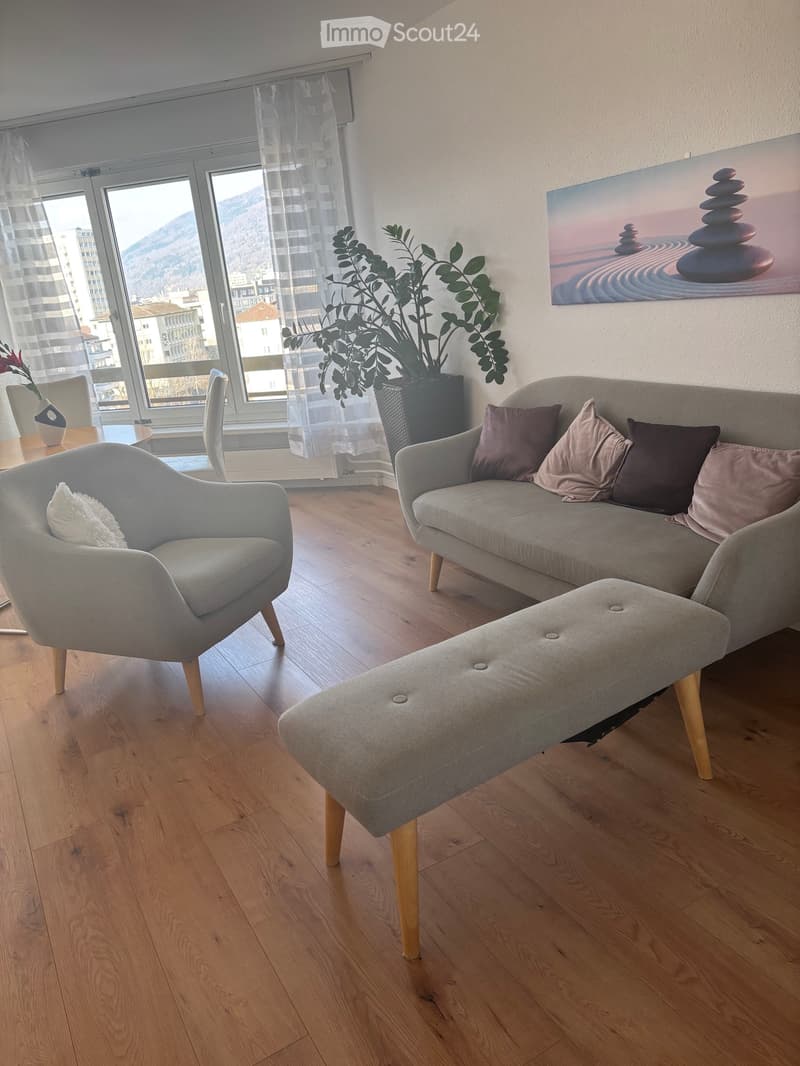 Apartment in central location biel (2)