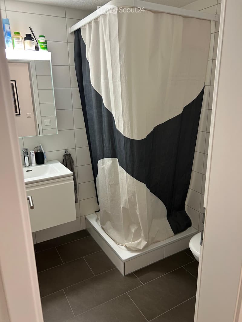 gepflegten 3.5-Zimmer-Wohnung (4)