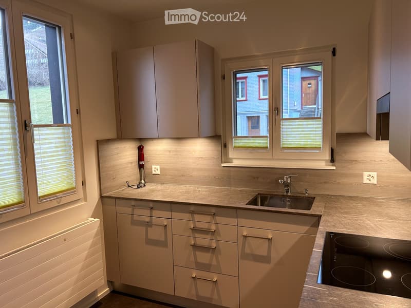4 ½-room ground floor apartment, wheelchair accessible (1)
