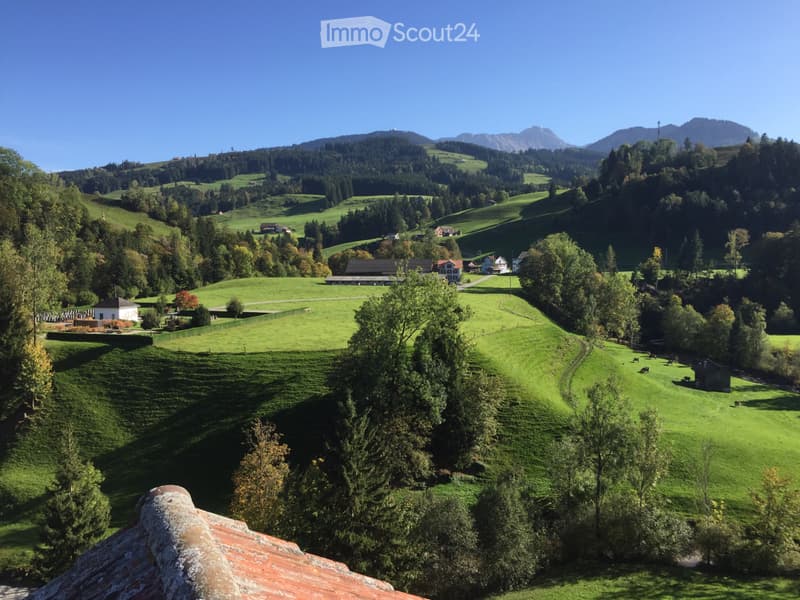 4 ½-room ground floor apartment, wheelchair accessible (5)