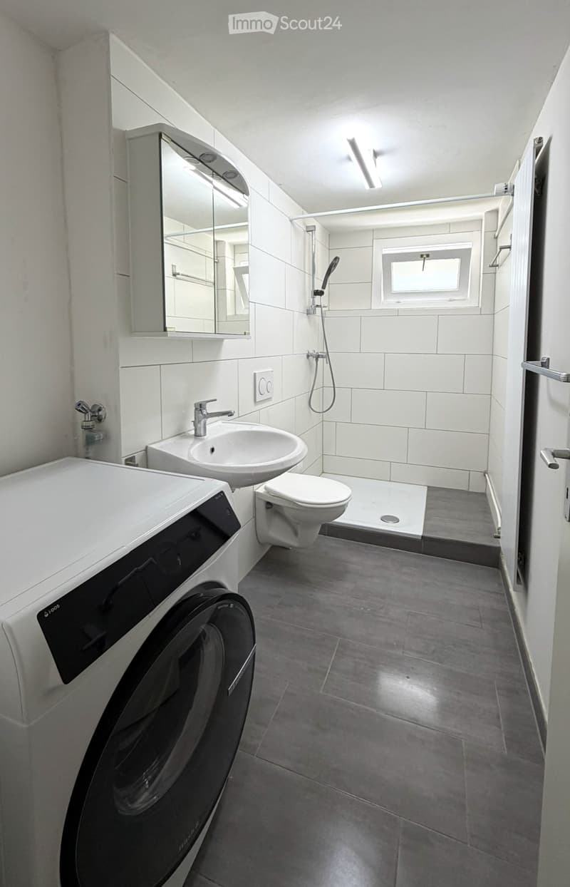 Sonnige Terrasse mit Wiese + grosszügige 3.5 Zimmer Wohnung (6)