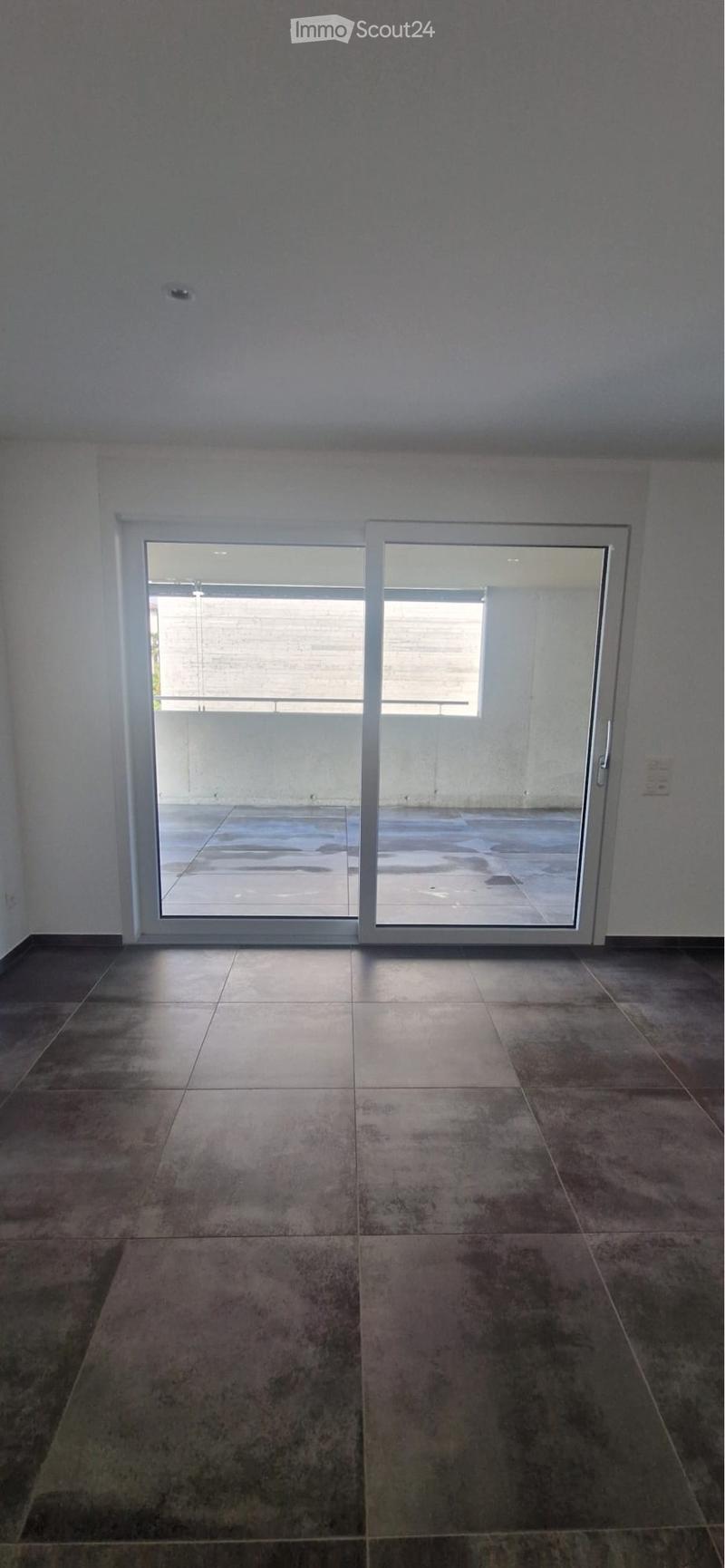Splendido 2 1/2 locali con ampia terrazza coperta (4)