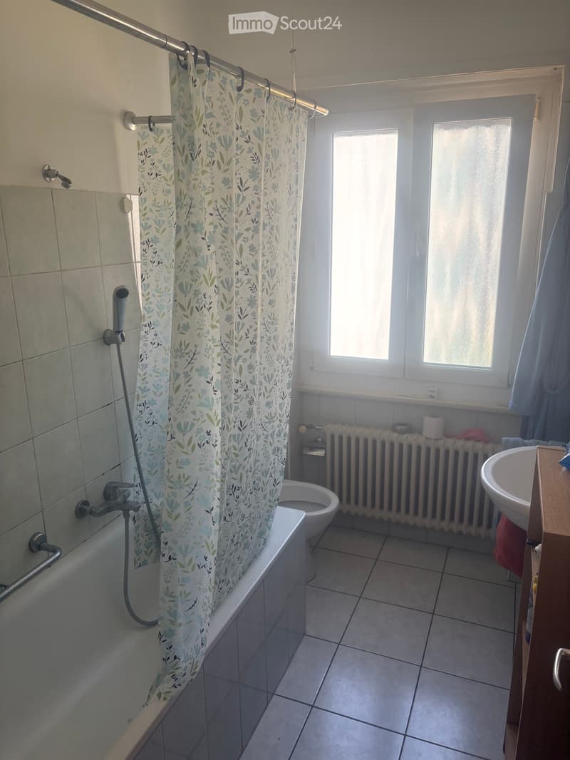 Cerco subentrante dal 1 novembre (5)
