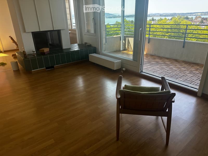 Grand appartement en attique central et calme avec vue sur le lac (4)