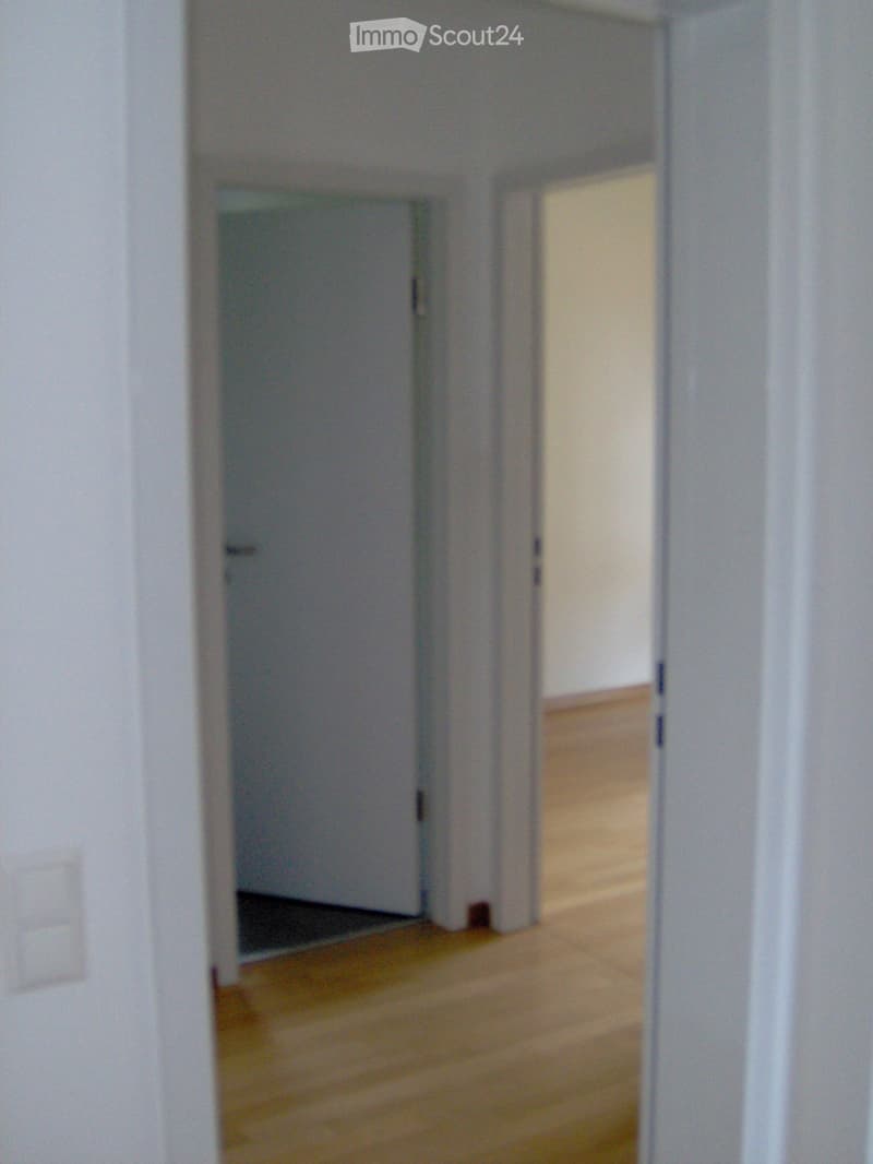 Massagno affittasi appartamento (3)